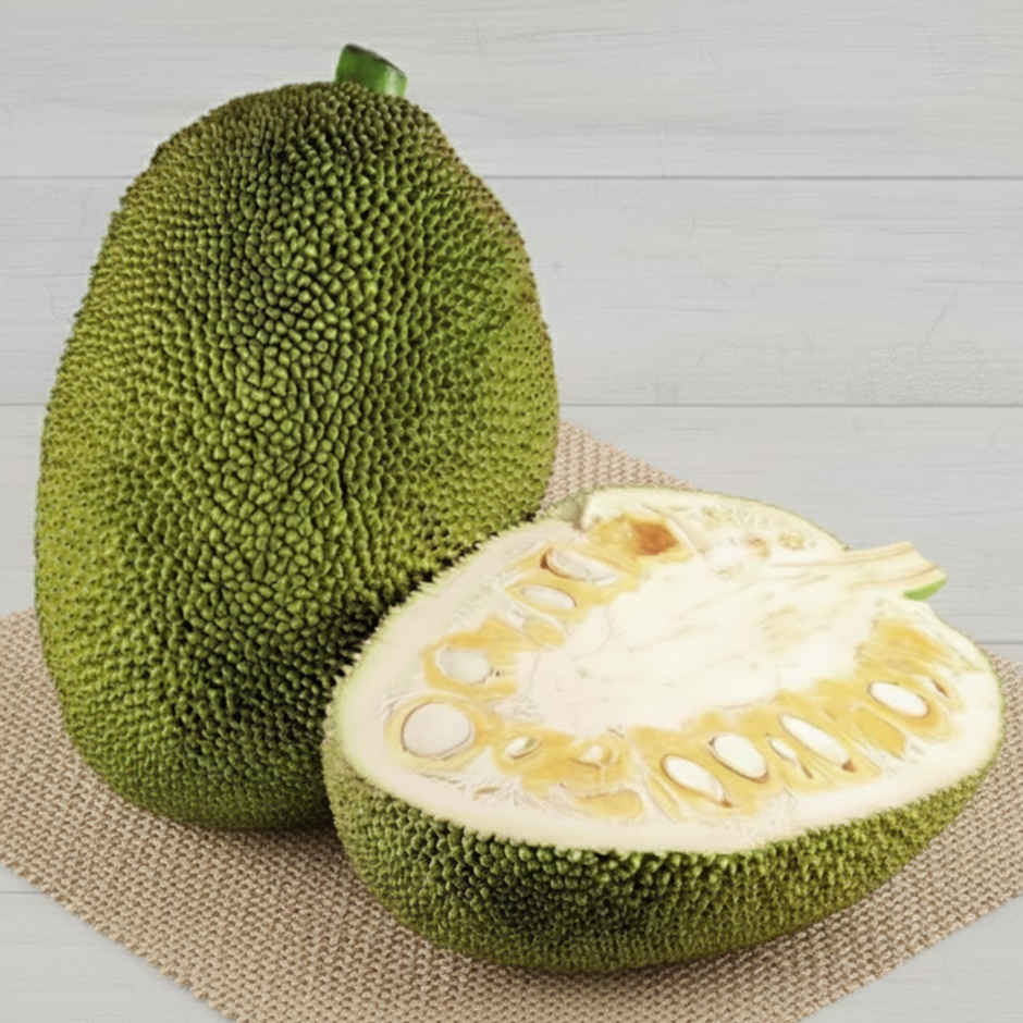 Jackfruit Raw Whole
