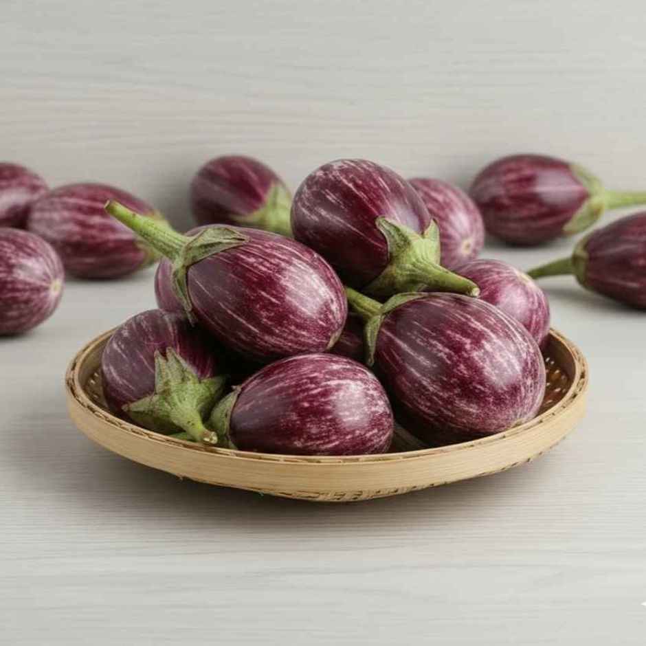 Brinjal Purple Striped