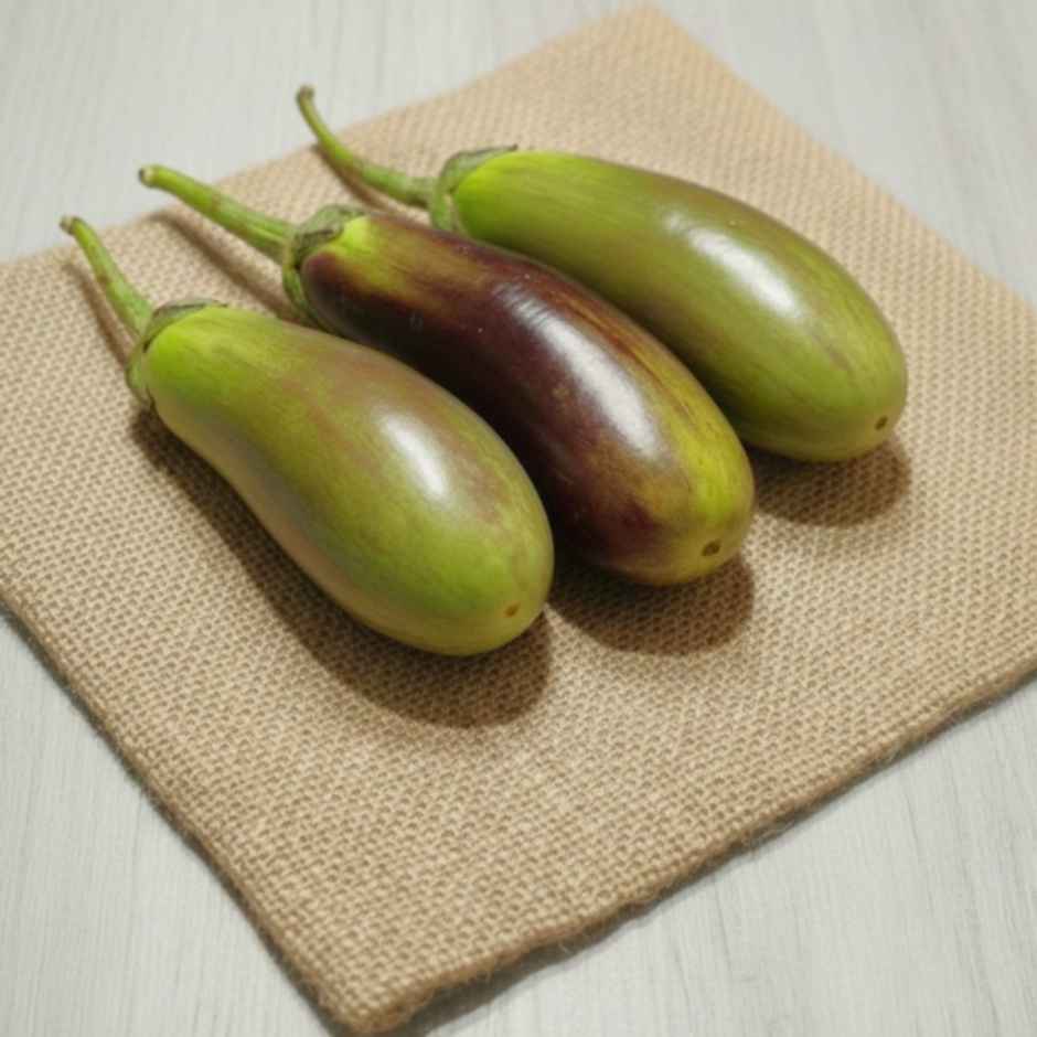 Brinjal Long Green (Bhangar)