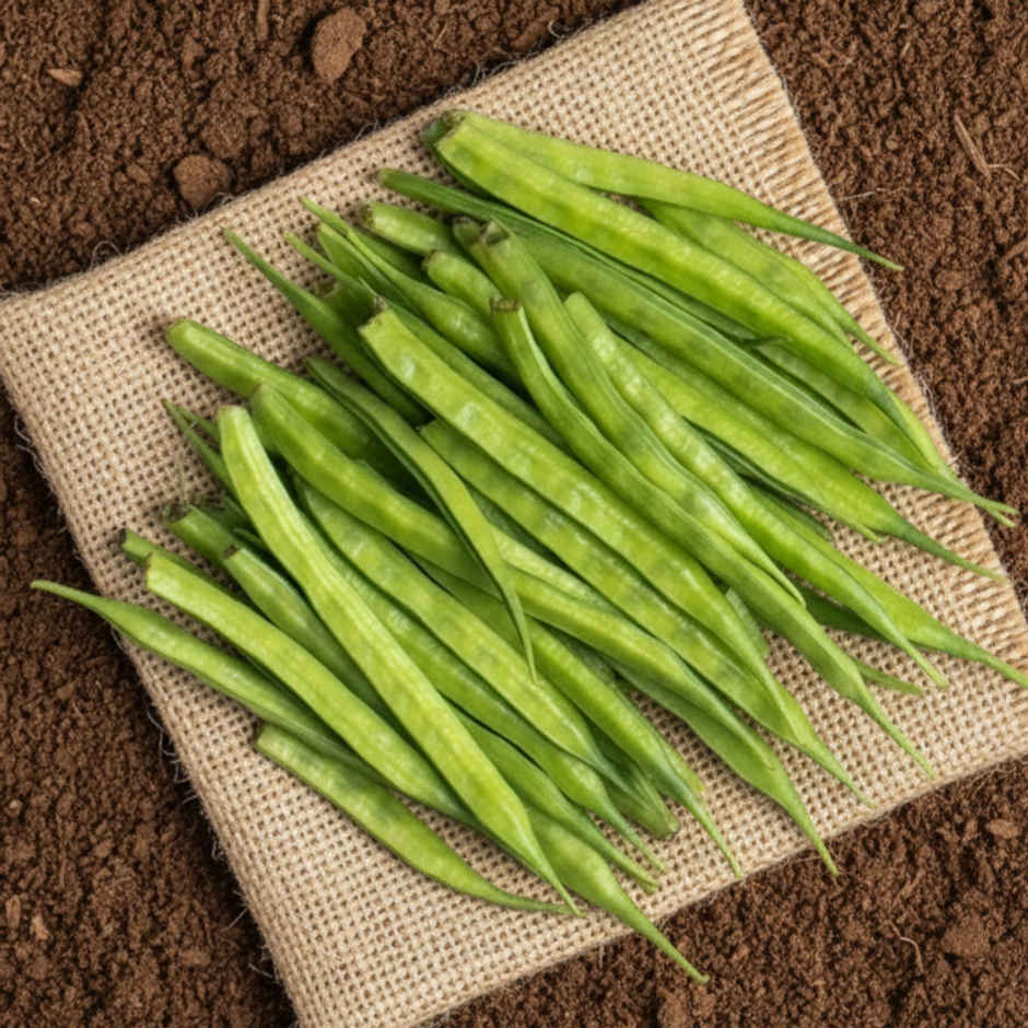 Organically Grown Beans Cluster