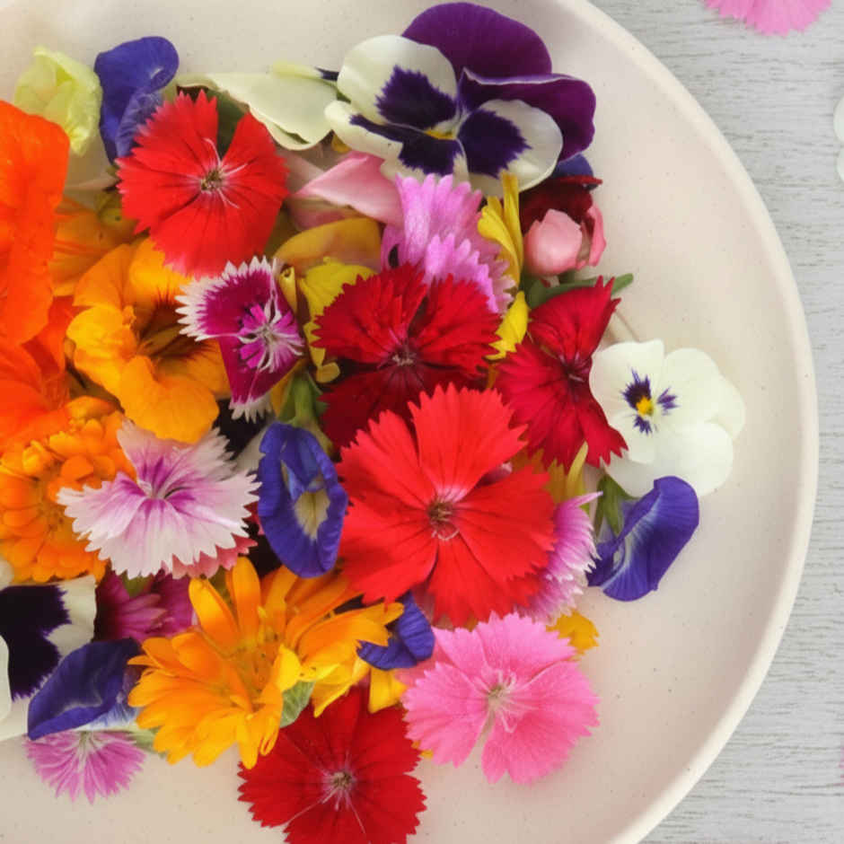 Edible Flowers