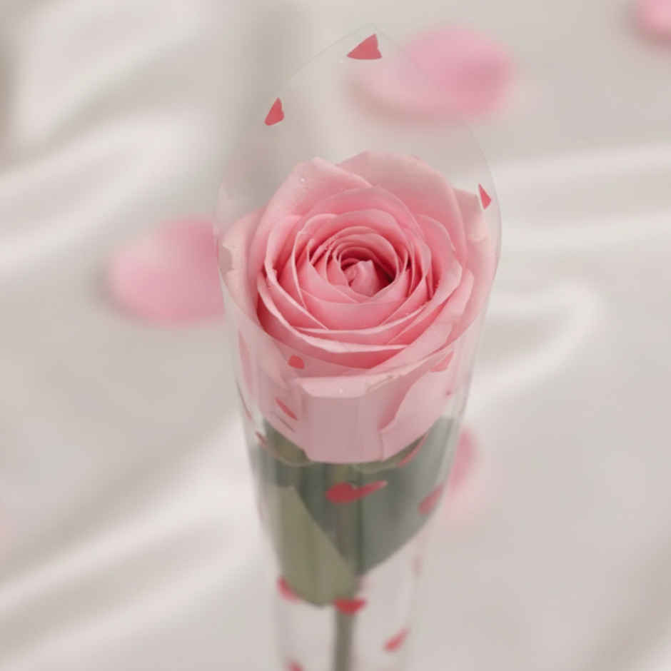 Single Pink Rose