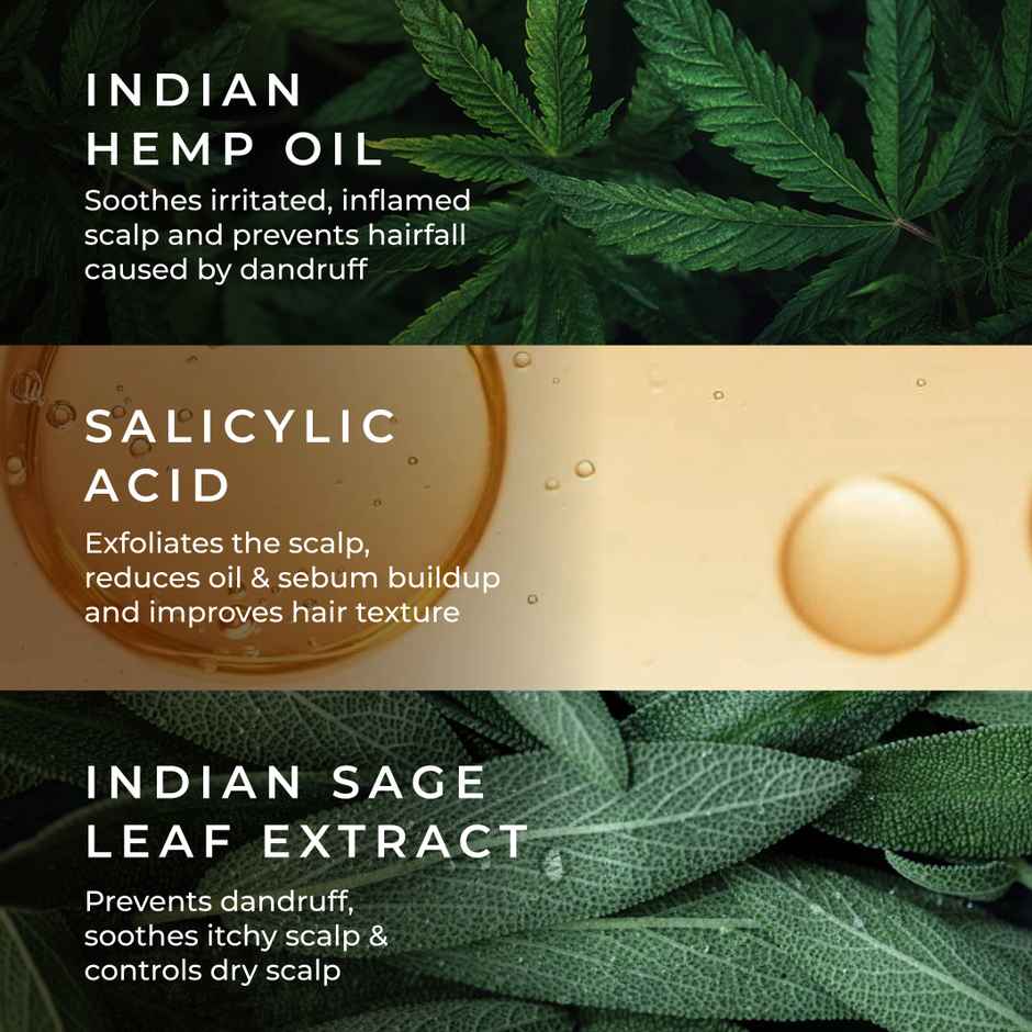 Naturali Anti-Dandruff Conditioner with Sage & Salicylic Acid | No Sulphate, No Paraben