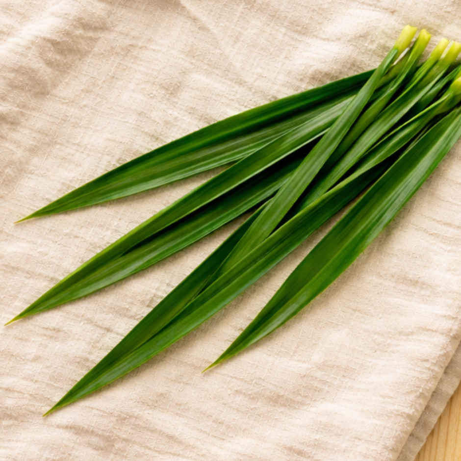 Pandanus Leaves
