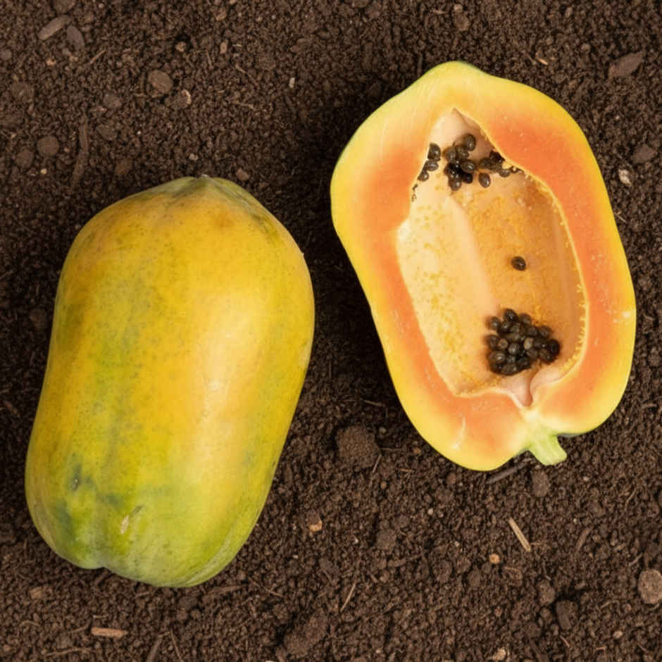 Organically Grown Papaya
