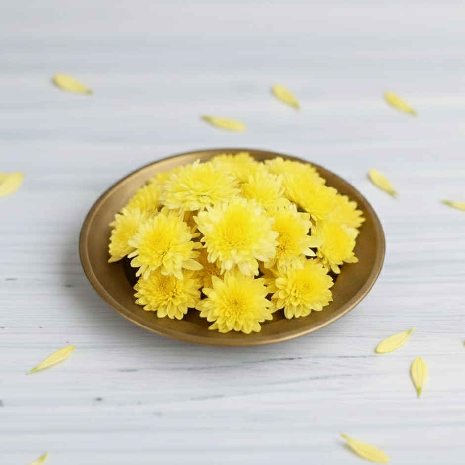 Chrysanthemum Flower Yellow Combo  