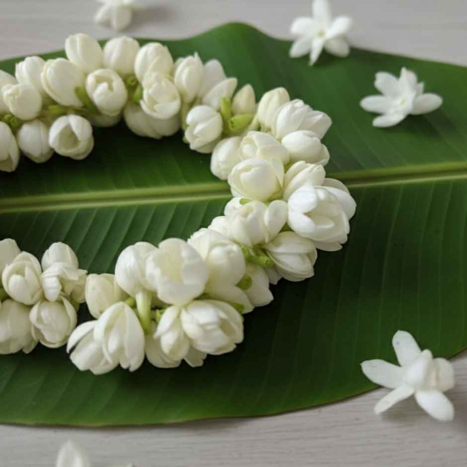 Jasmine String (Gajra)