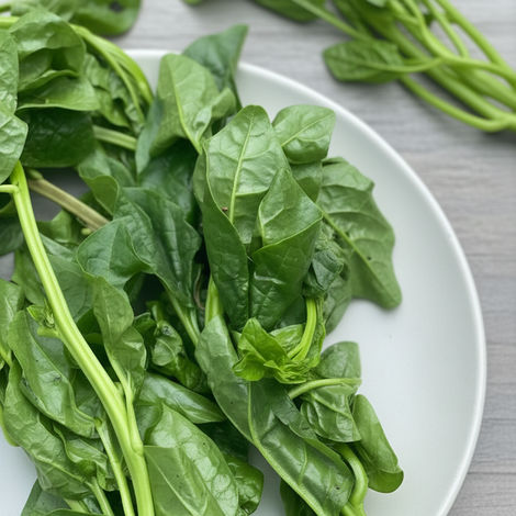 Malabar Spinach