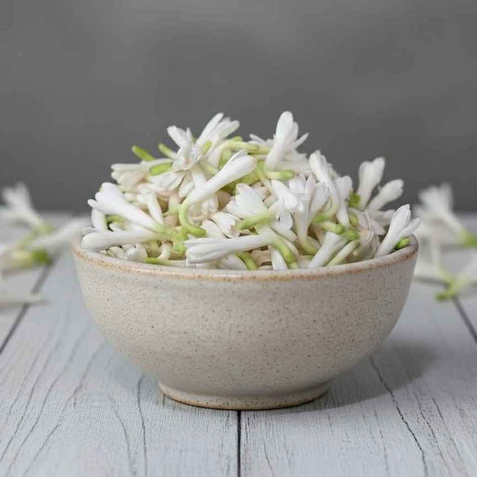 Tuberose Flower (Nishigandha)