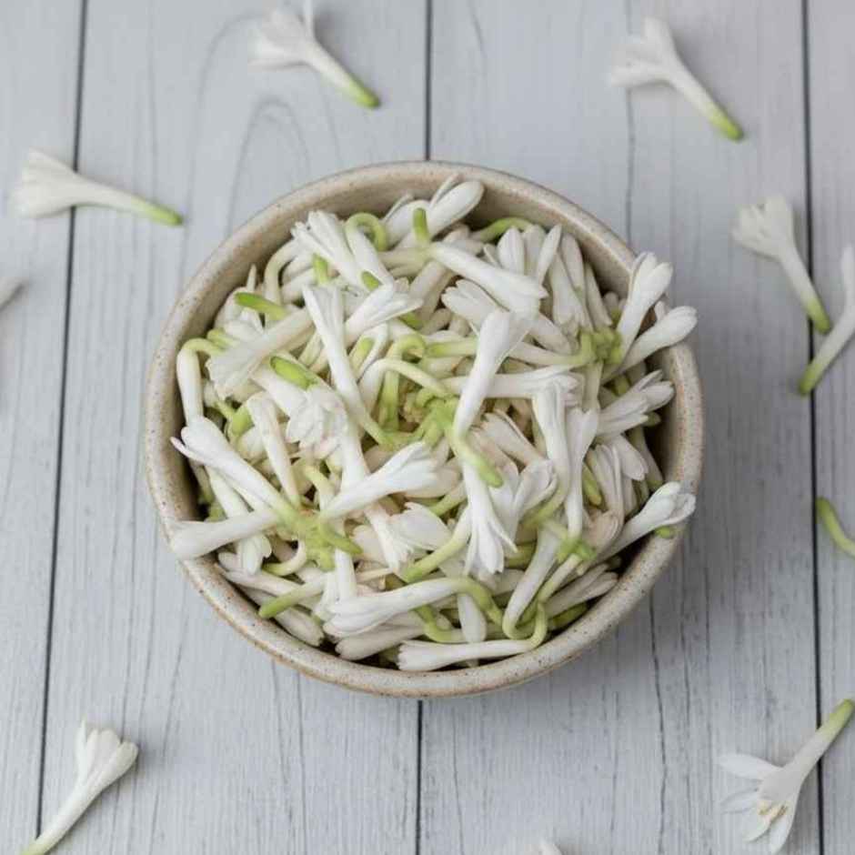 Tuberose Flower (Rajnigandha)