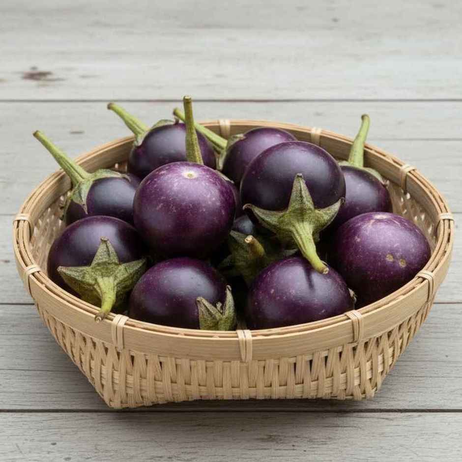 Brinjal Small Striped