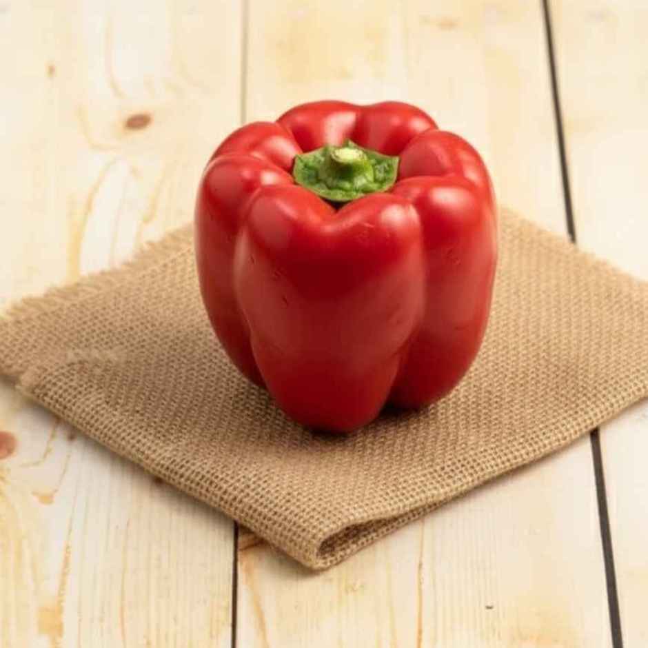Capsicum Red