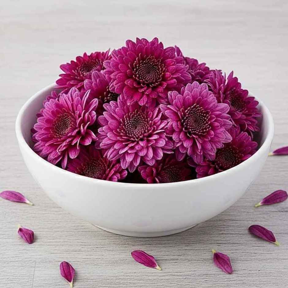 Chrysanthemum Purple Flower (Chamanthi puvvu)
