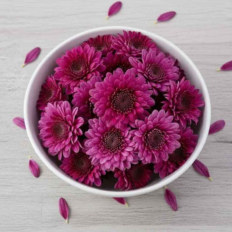 Chrysanthemum Purple Flower (Chamanthi puvvu)