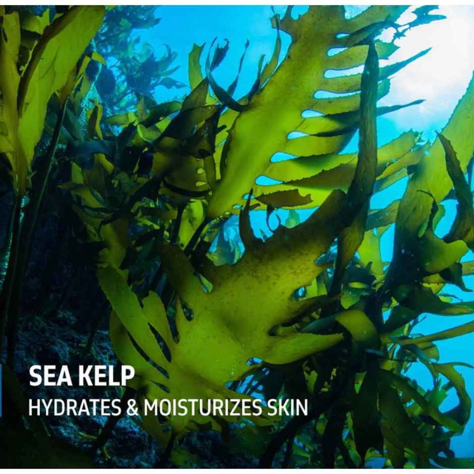 Phy Vitamin Sea Energizing Body Wash