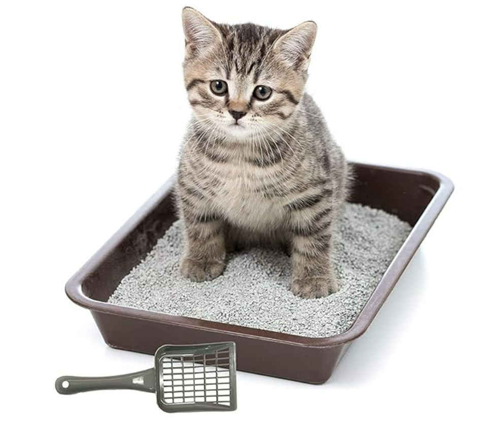 Bearhugs Cat Litter Scooper (Assorted)