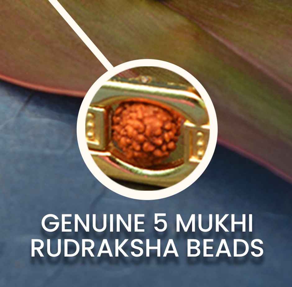 Seetara Modern Rudraksha Bracelet with Gold Plating