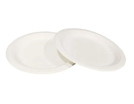 Tempware Bio-Degradable Bagasse Round Plate