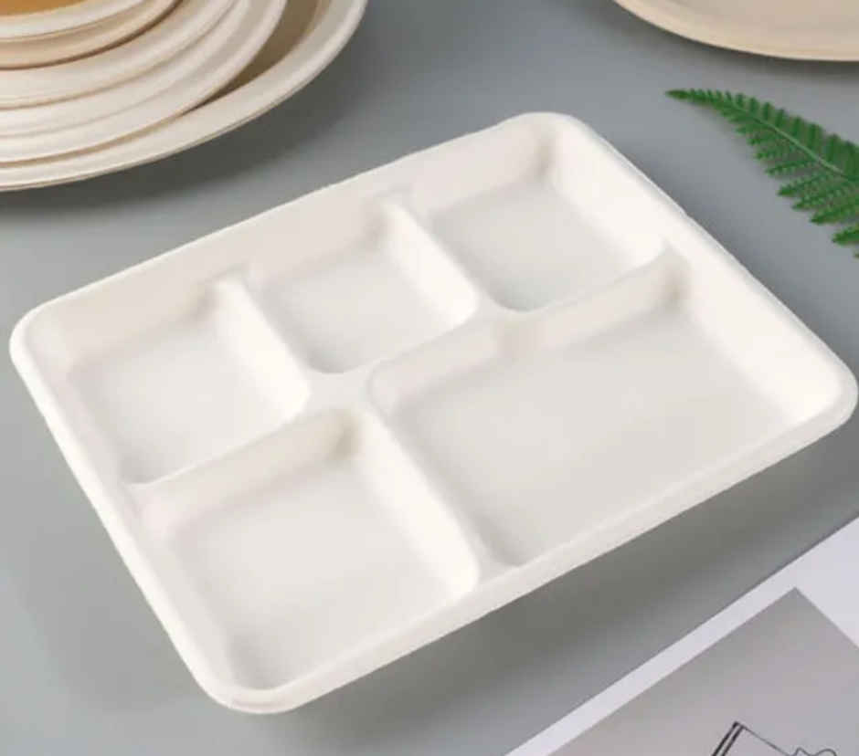 Sugarcane Fibre Disposable Plate | 21.59 x 26.04 cm | 5 Compartments