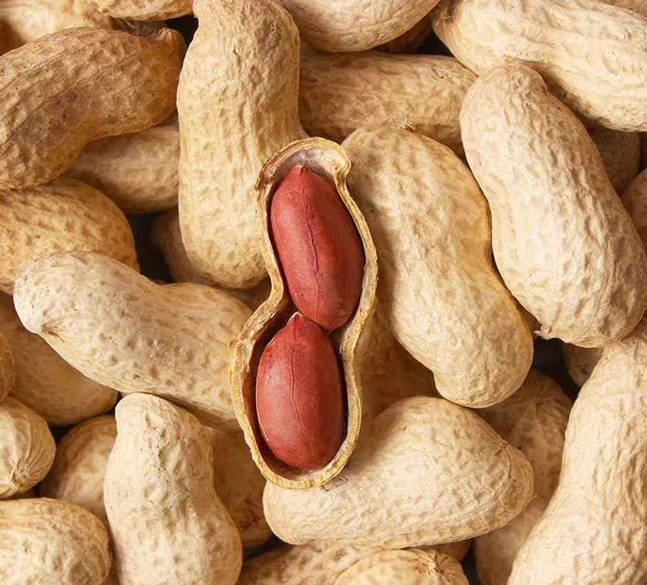 Fresh Groundnut- | Moongfali