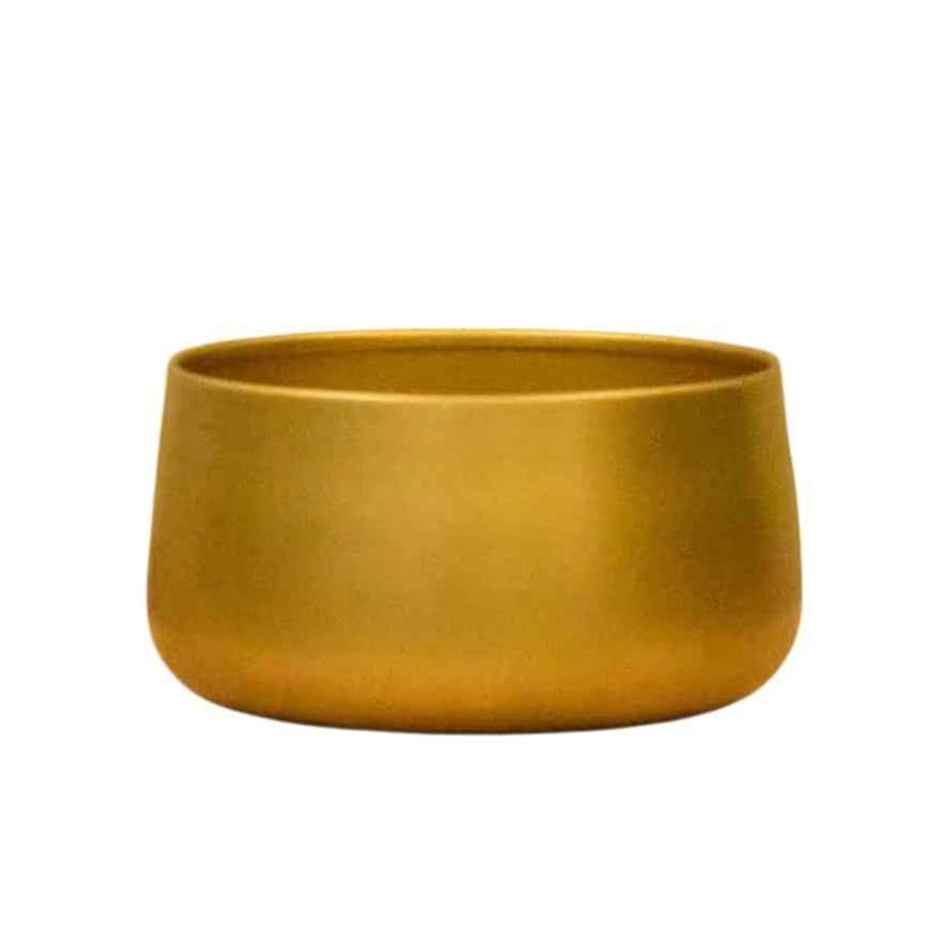 CasaCraft Pepperfry Tanner Gold Iron Planter Pot Round Decorative Rust-Resistant for Indoor Plants