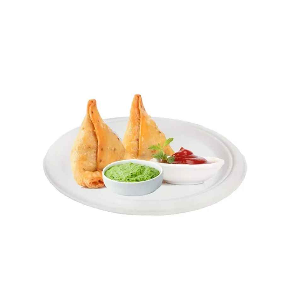 Sugarcane Fibre Disposable Plate | 9 inch | Round