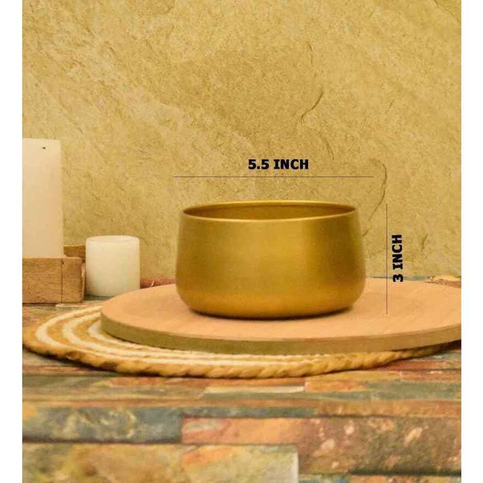CasaCraft Pepperfry Tanner Gold Iron Planter Pot Round Decorative Rust-Resistant for Indoor Plants