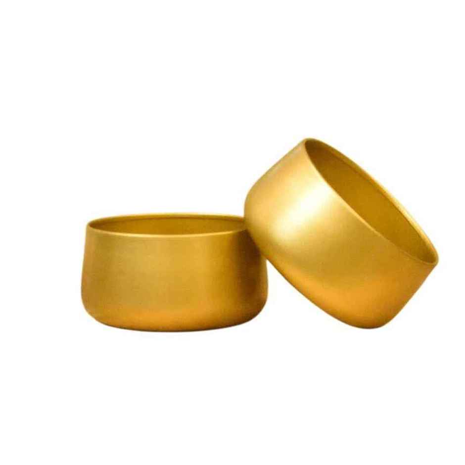 CasaCraft Pepperfry Tanner Gold Iron Planter Pot Round Decorative Rust-Resistant for Indoor Plants