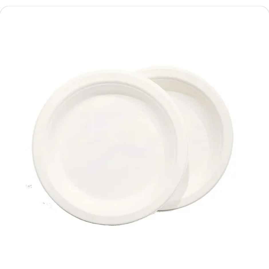Sugarcane Fibre Disposable Plate | 9 inch | Round