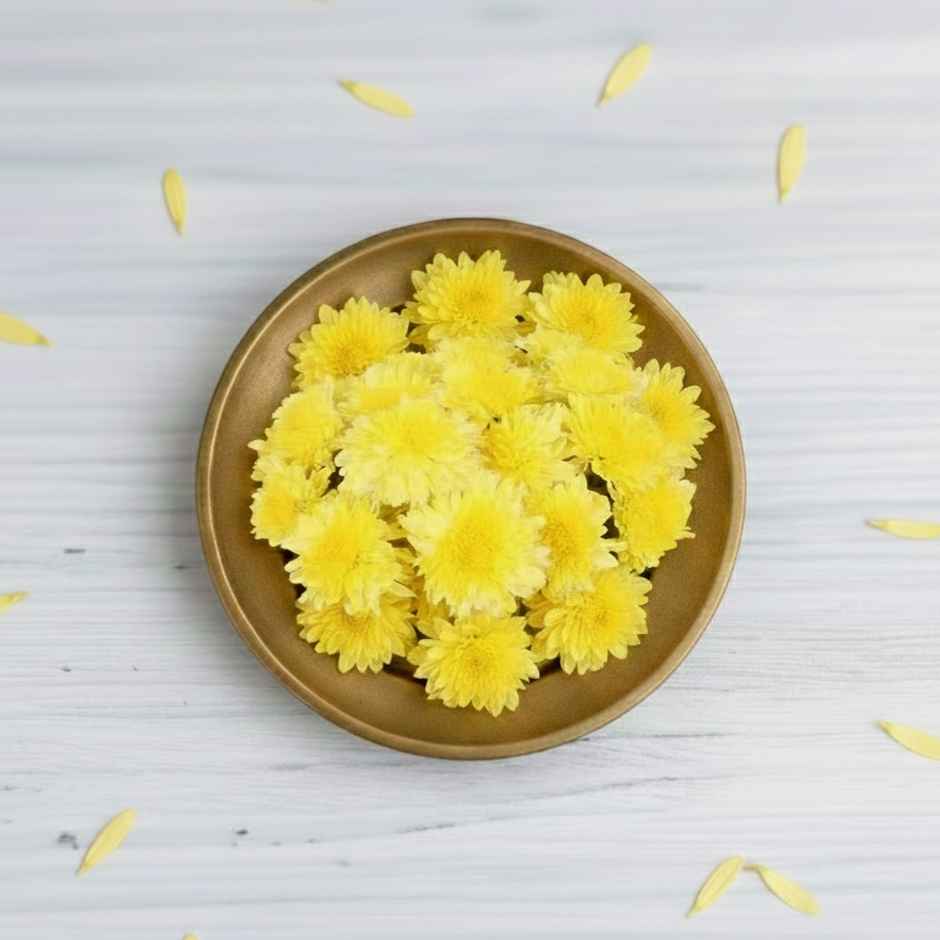 Chrysanthemum Flower Yellow Combo  