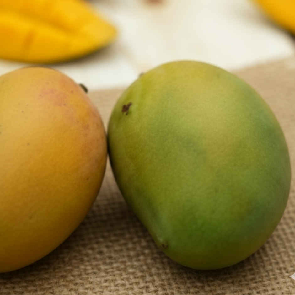 Mango Pairi