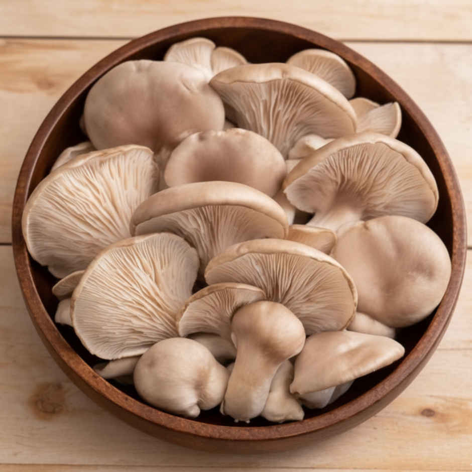 Mushroom Oyster