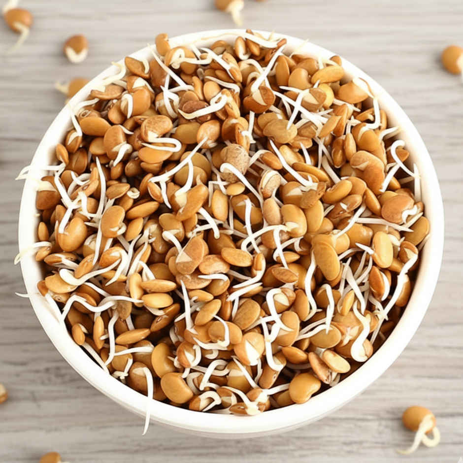 Horse Gram Sprouts