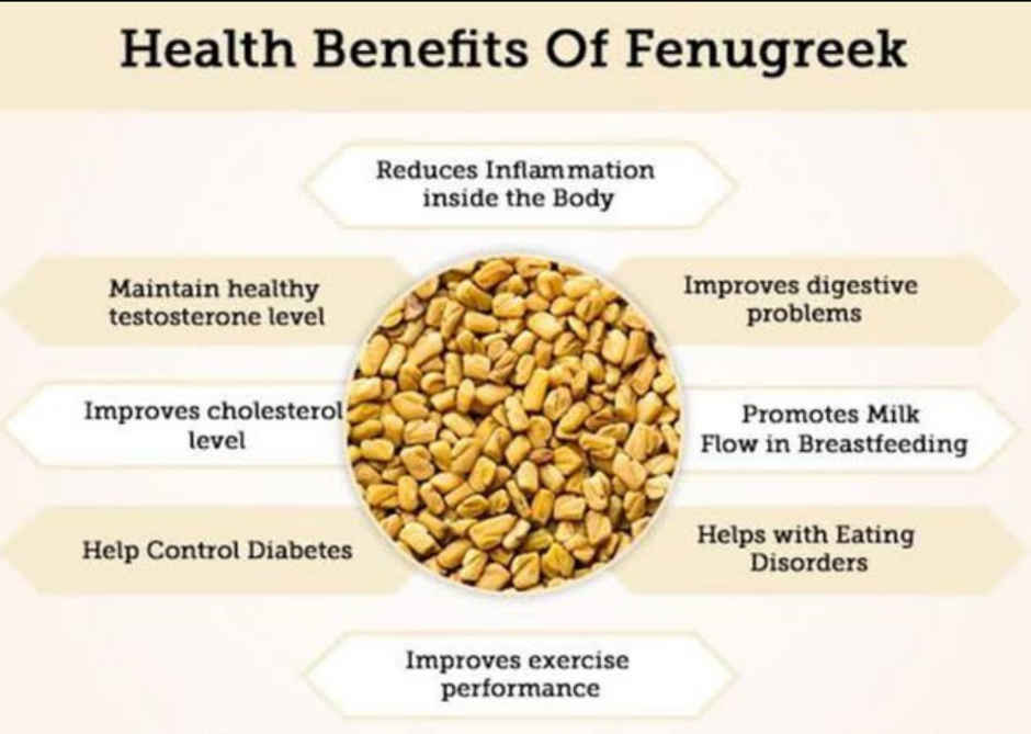 Popular Essentials Fenugreek/Methi Seeds
