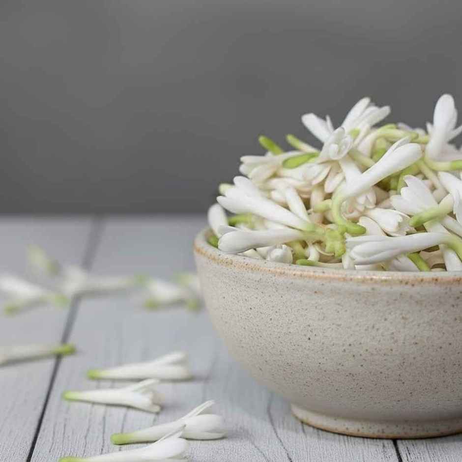 Tuberose Flower (Rajnigandha)