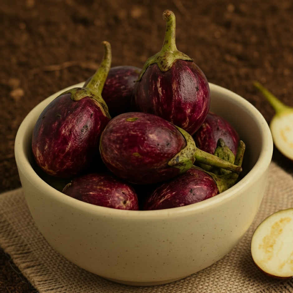 Organically Grown Brinjal