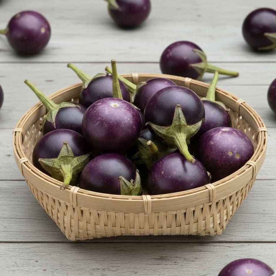 Brinjal Small Striped