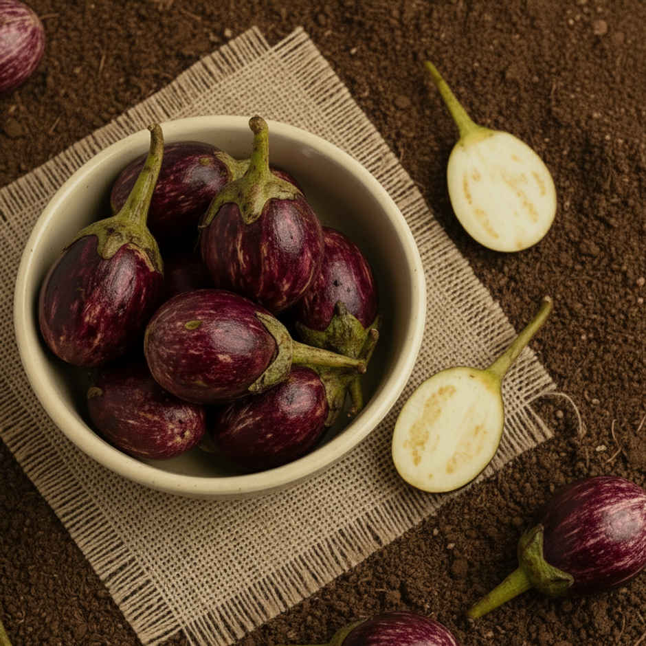 Organically Grown Brinjal