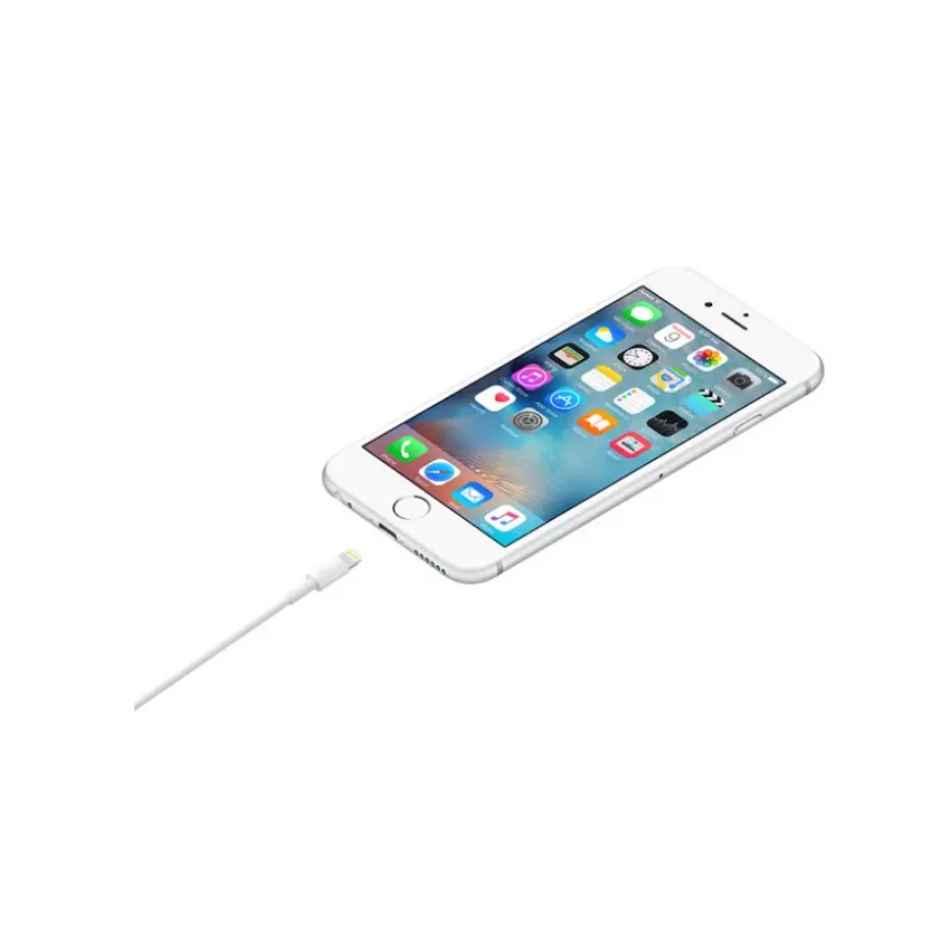 Apple Lightning to Usb Cable | 1 m