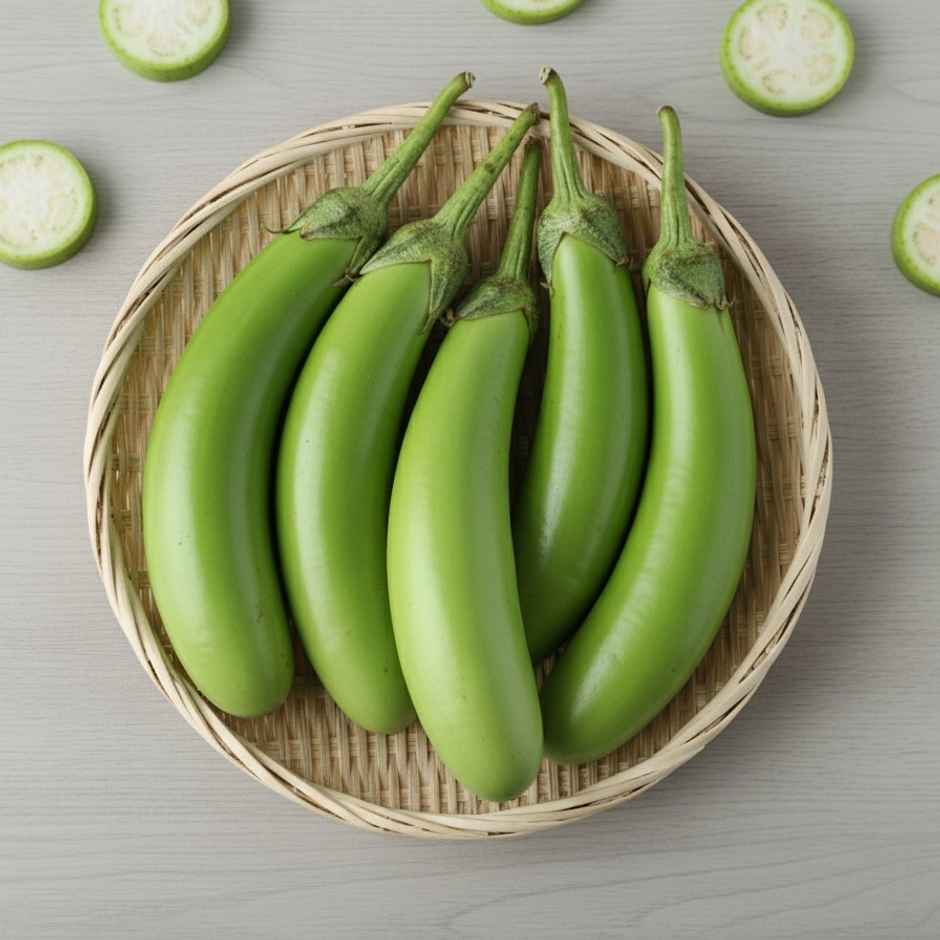 Brinjal Green Long