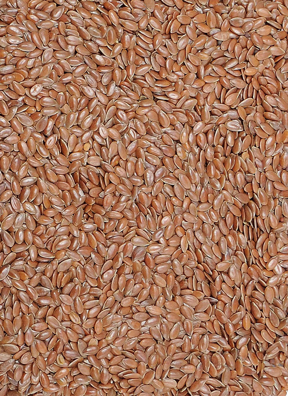 Popular Fit Eats Flax Seeds - Raw