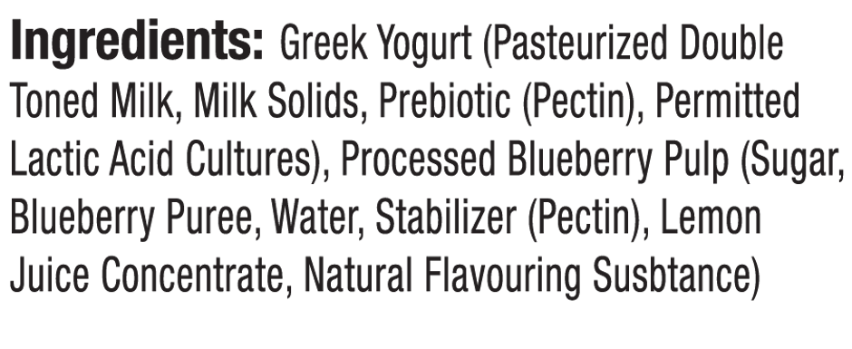 Epigamia Greek Yogurt Blueberry Combo