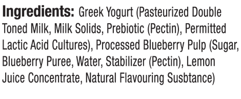 Epigamia Greek Yogurt Blueberry Combo