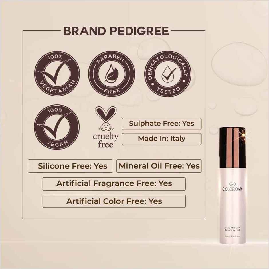 Colorbar Pro Range Stay The Day Finishing Mist