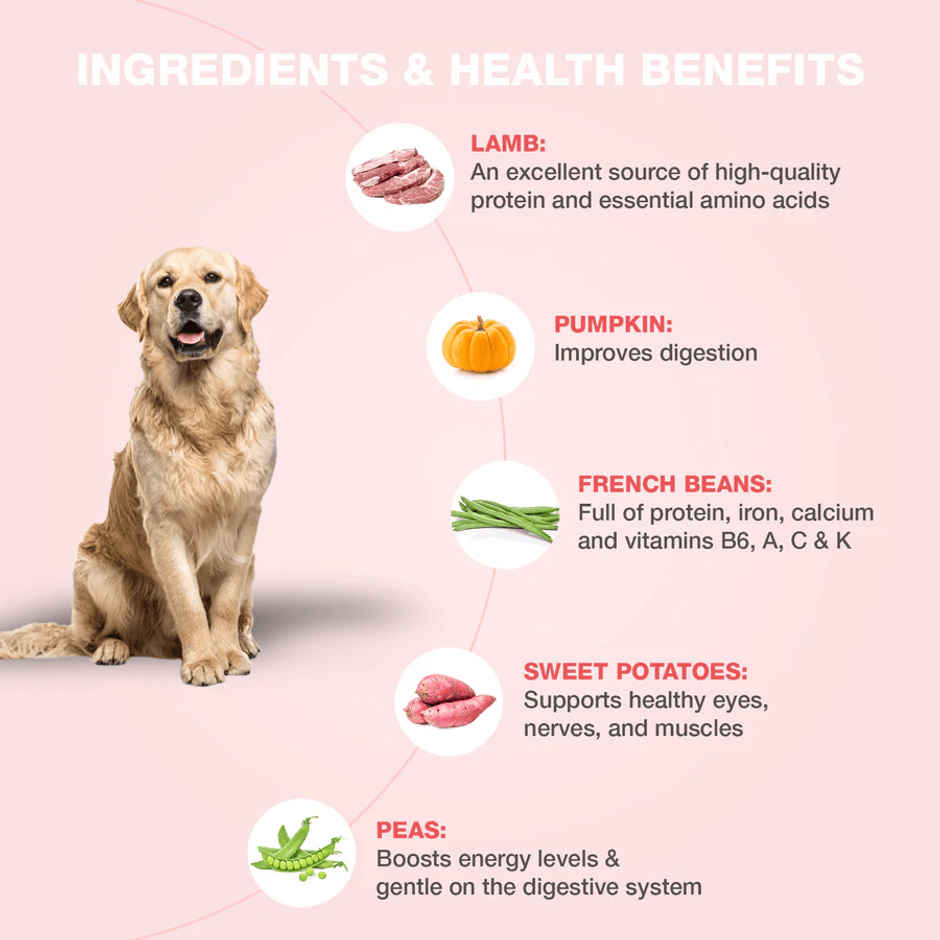 Benny's Bowl Fresh & Wet Dog Food - Lamb and French Beans | Grain Free