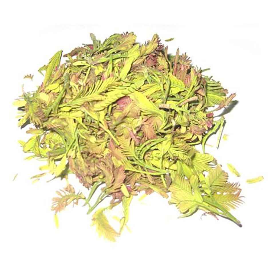 Tender Tamarind Leaves