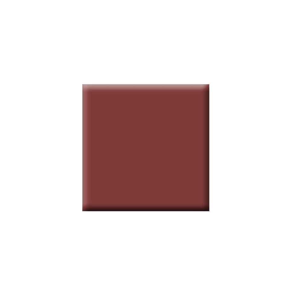 Colorbar Vegan Nail Lacquer - Bronzer