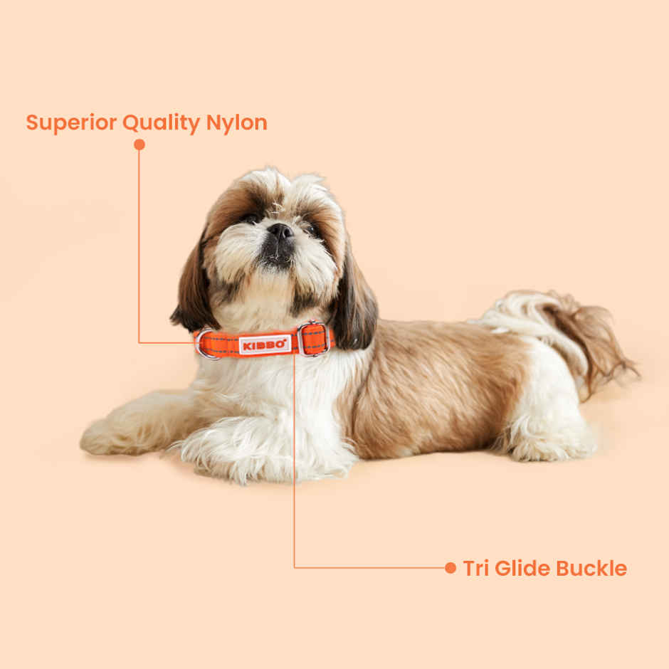 KIBBO Padded Reflective & Adjustable Dog Collar | Orange - Medium