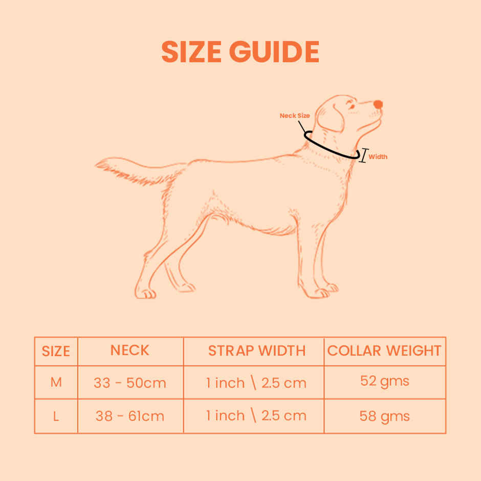 KIBBO Padded Reflective & Adjustable Dog Collar | Orange - Medium