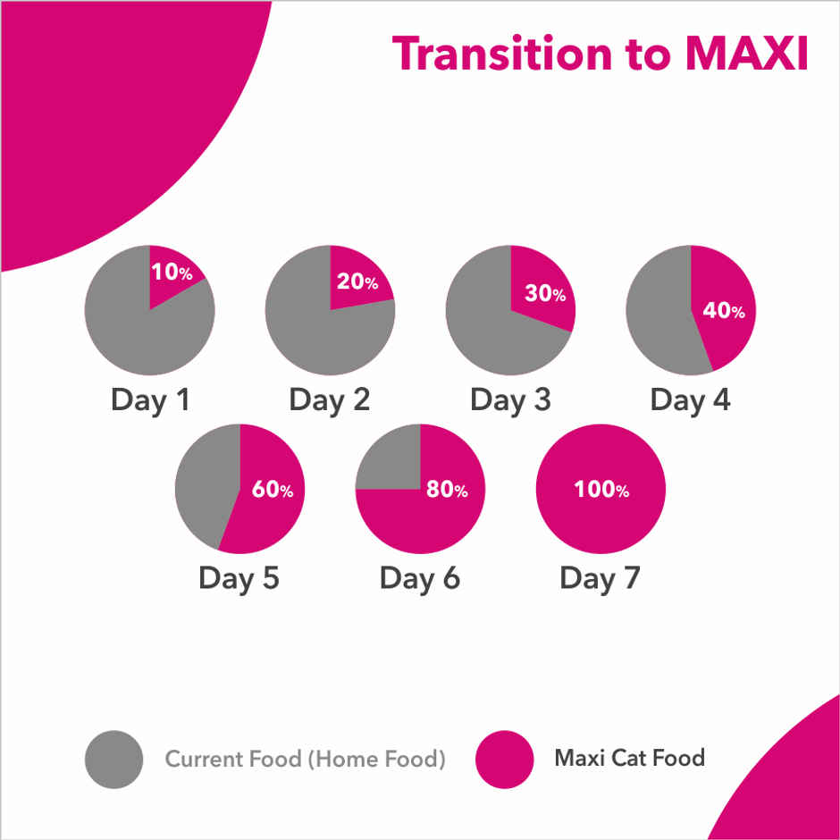 Maxi Persian Ocean Fish Dry Cat FOOD